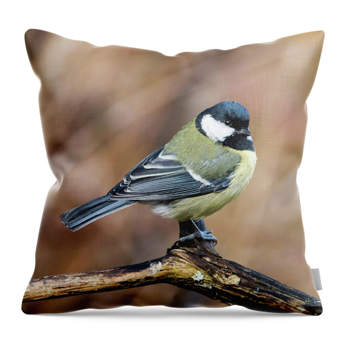 Great Tit Throw Pillow featuring the photograph Great Tit in Fall by Torbjorn Swenelius