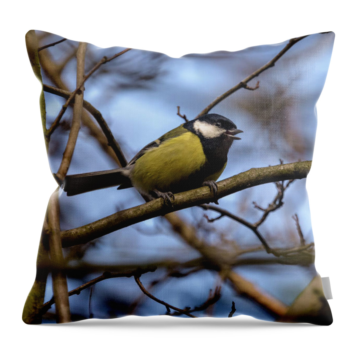 Great Tit Throw Pillow featuring the photograph Great Tit Woods by Matt Malloy