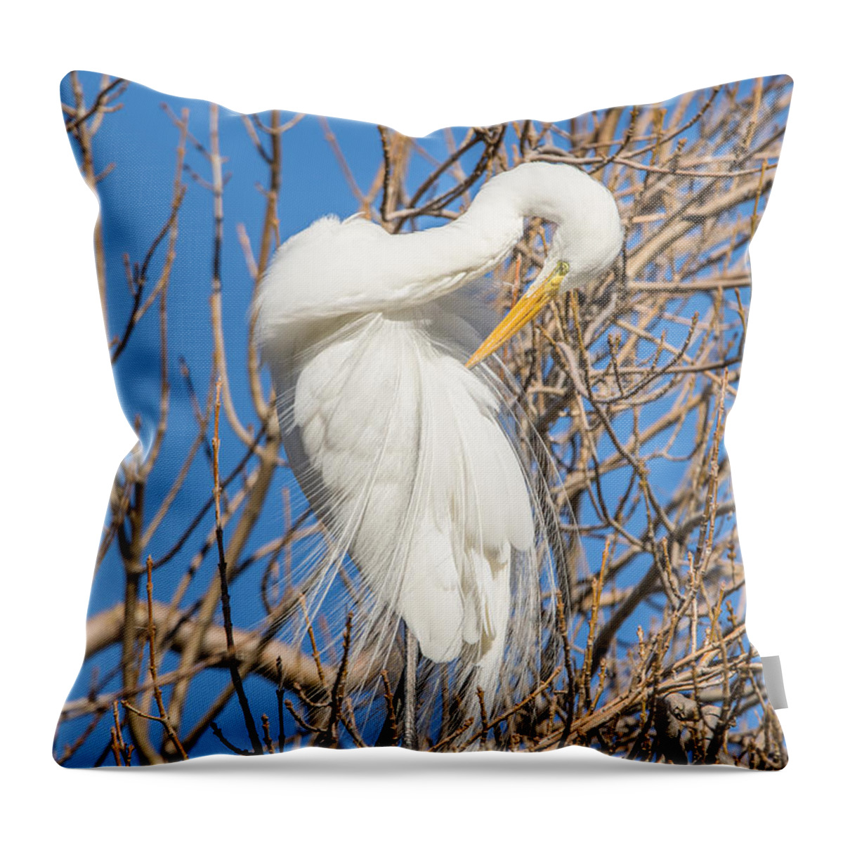 California Throw Pillow featuring the photograph Great White Egret in Tree by Marc Crumpler