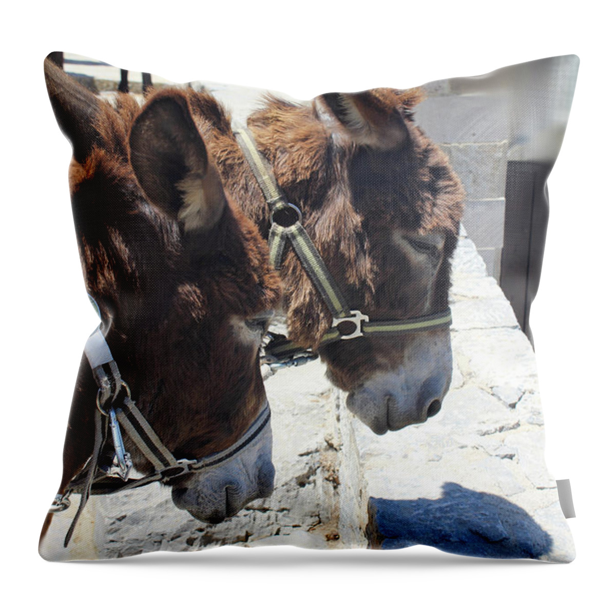 Greece Throw Pillow featuring the photograph Greece's Donkeys by Donna L Munro