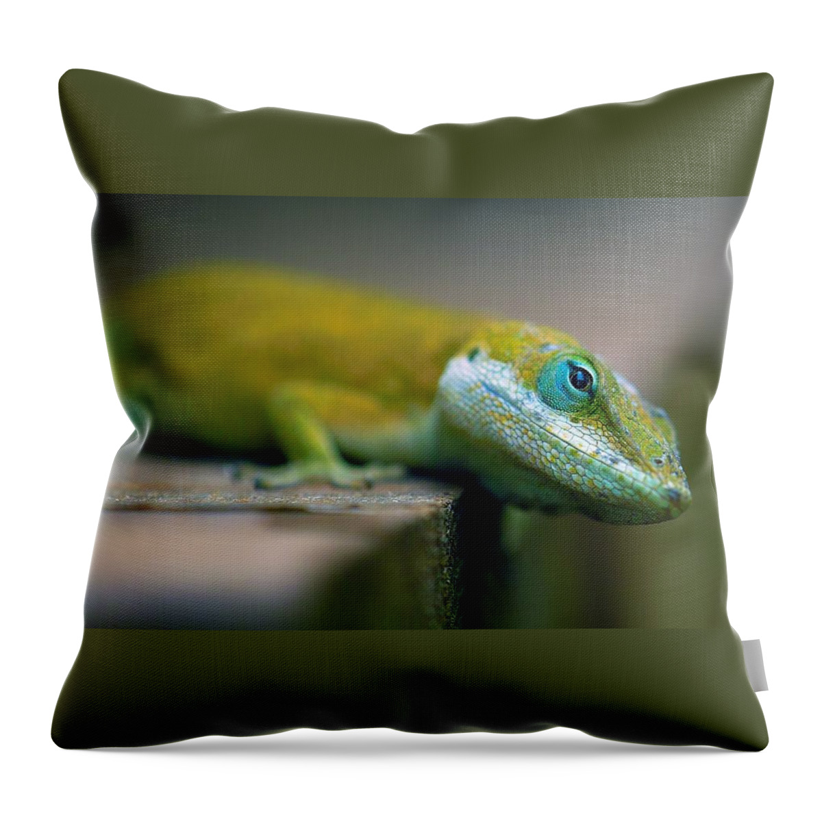 Green Anole Throw Pillow featuring the photograph Green Anole by Jackie Russo