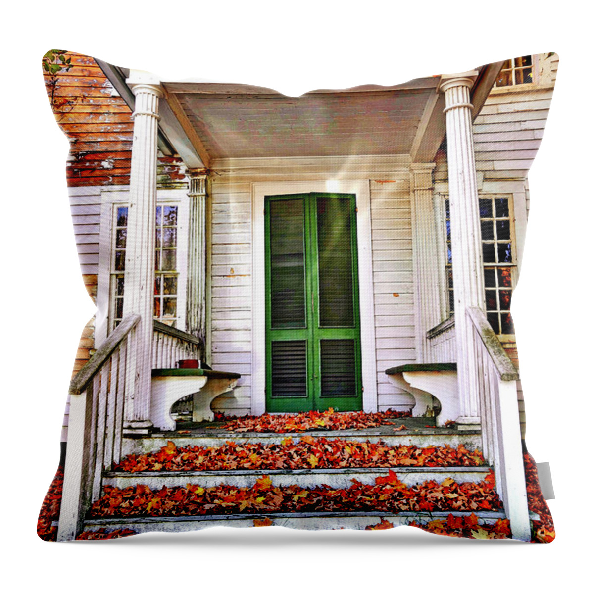Fall Leaves Throw Pillow featuring the photograph Green Autumn Door by Joan Reese