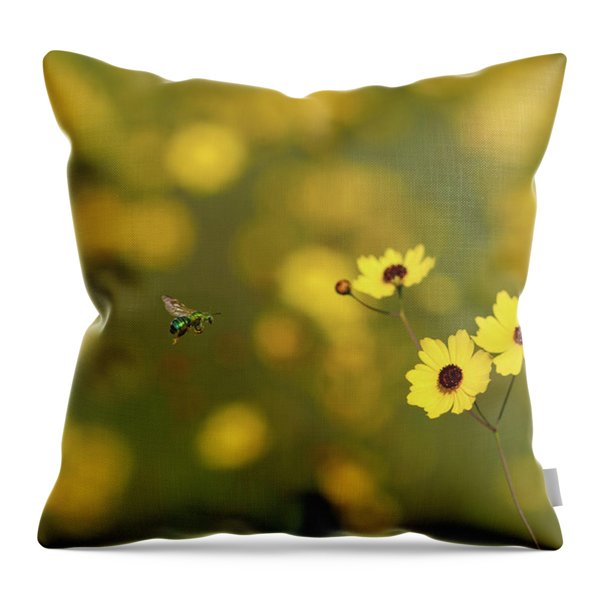 Bee Throw Pillow featuring the photograph Green Bee Yellow Flowers by Paul Rebmann