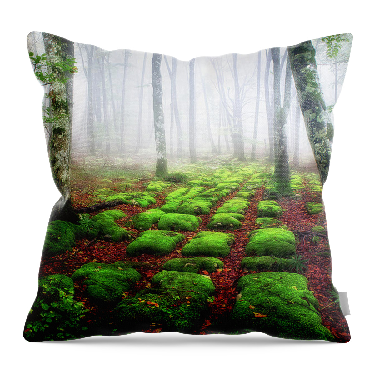 Forest Throw Pillow featuring the photograph Green brick road by Mikel Martinez de Osaba