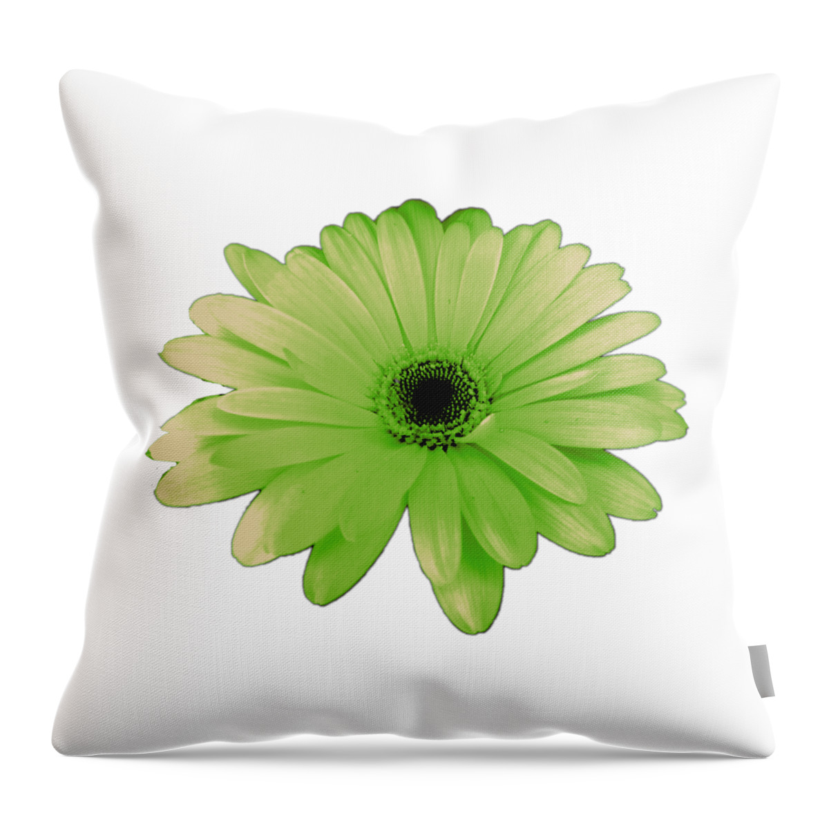 Digital Art Throw Pillow featuring the photograph Green Daisy Flower by Delynn Addams