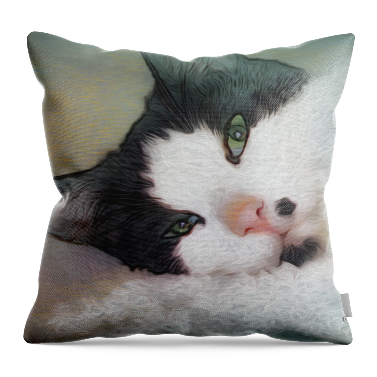 Green Eyed Cat Throw Pillow featuring the photograph Green Eyed Cat - Sleepy Kitty by Rebecca Korpita