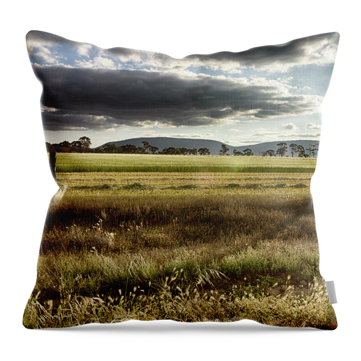 Green Throw Pillow featuring the photograph Green Fields 6 by Douglas Barnard