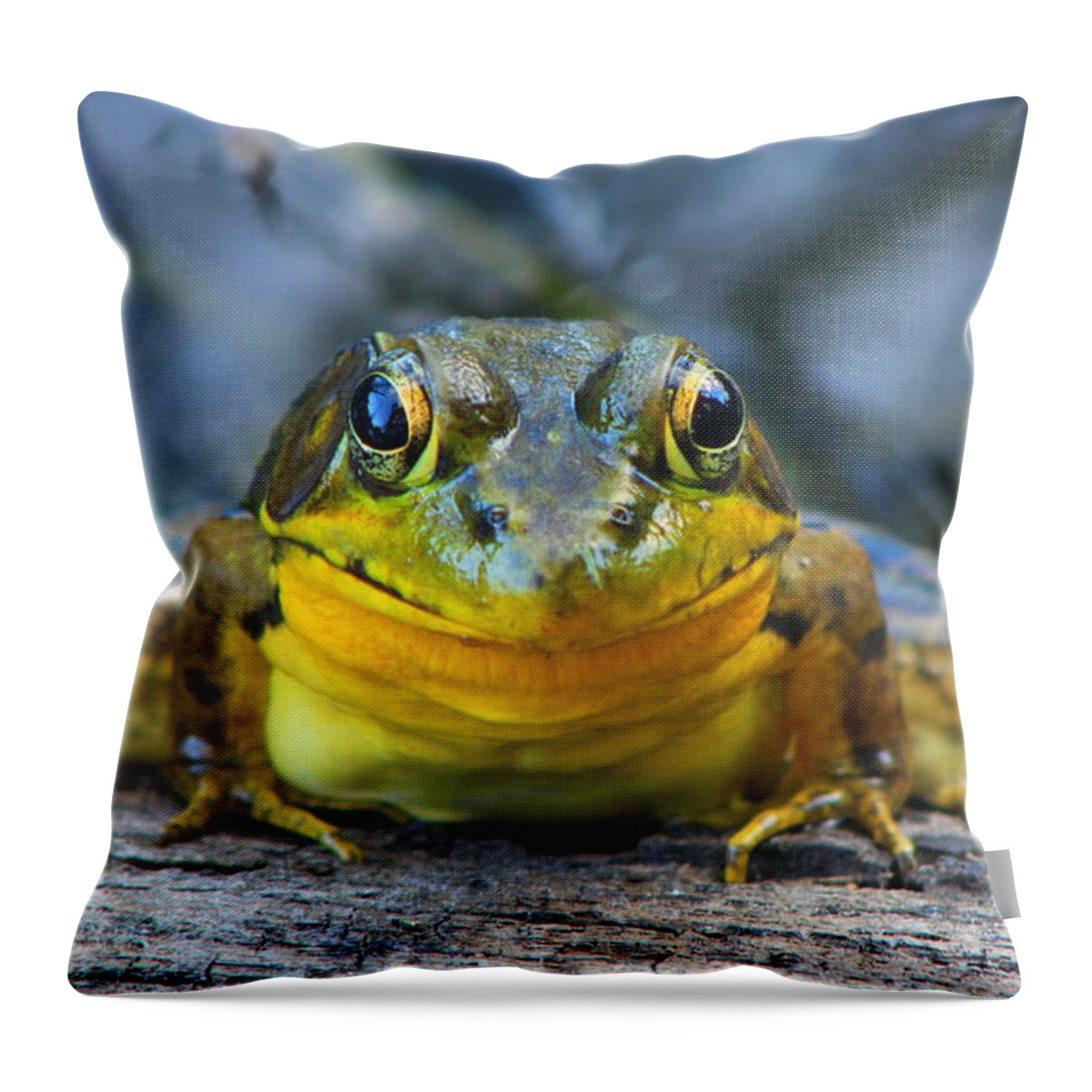 Wildlife Throw Pillow featuring the photograph Green Frog by John Burk