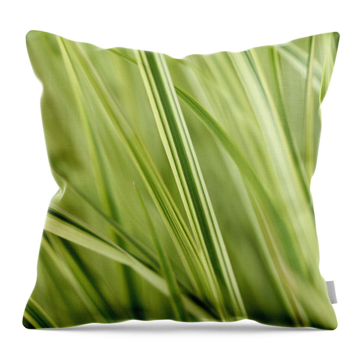 Lime Throw Pillow featuring the photograph Green Harmony by Connie Handscomb