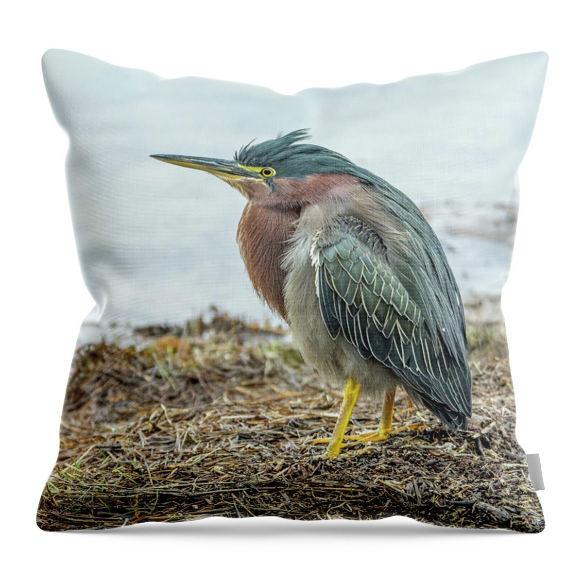 Green Throw Pillow featuring the photograph Green Heron 1340 by Tam Ryan