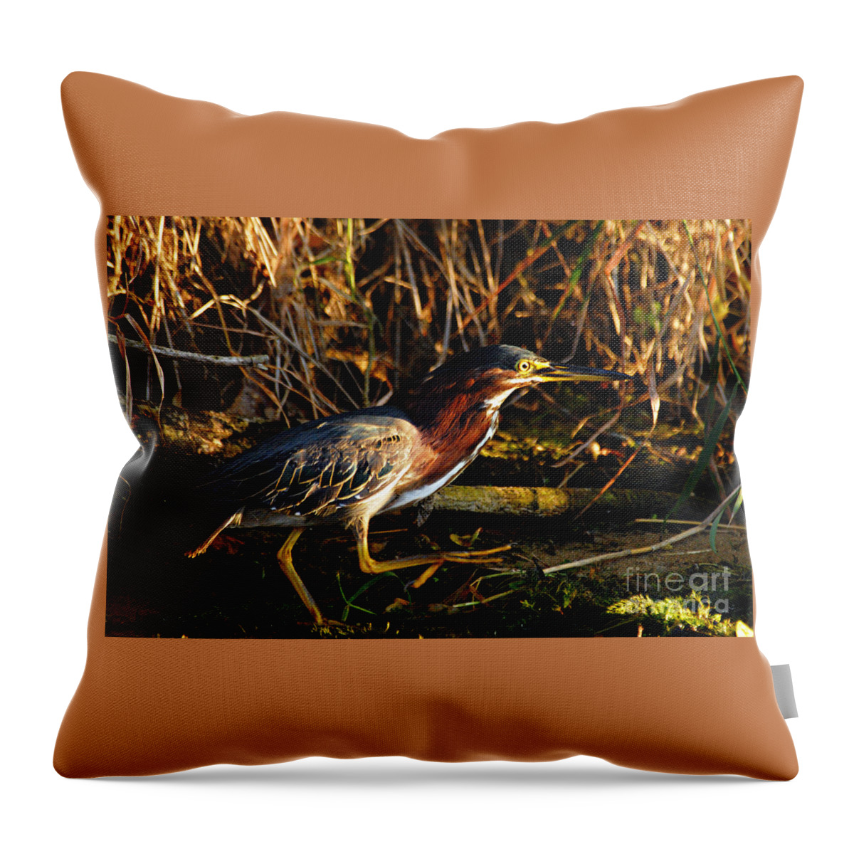 Nature Throw Pillow featuring the photograph Green Heron by Larry Ricker