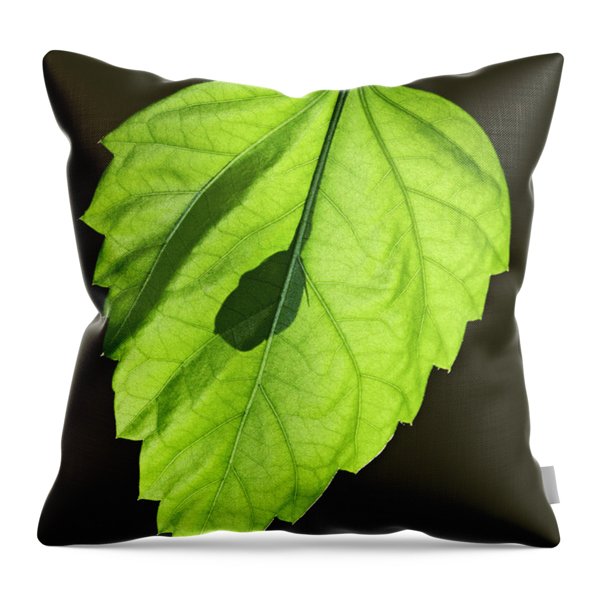Green Hibiscus Throw Pillow featuring the photograph Green Hibiscus Leaf by Tony Cordoza