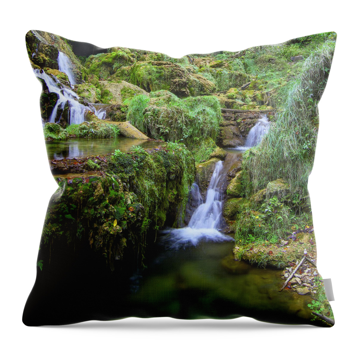 Falling Springs Throw Pillow featuring the photograph Green Leprechauns of Covington Falling Springs by Norma Brandsberg