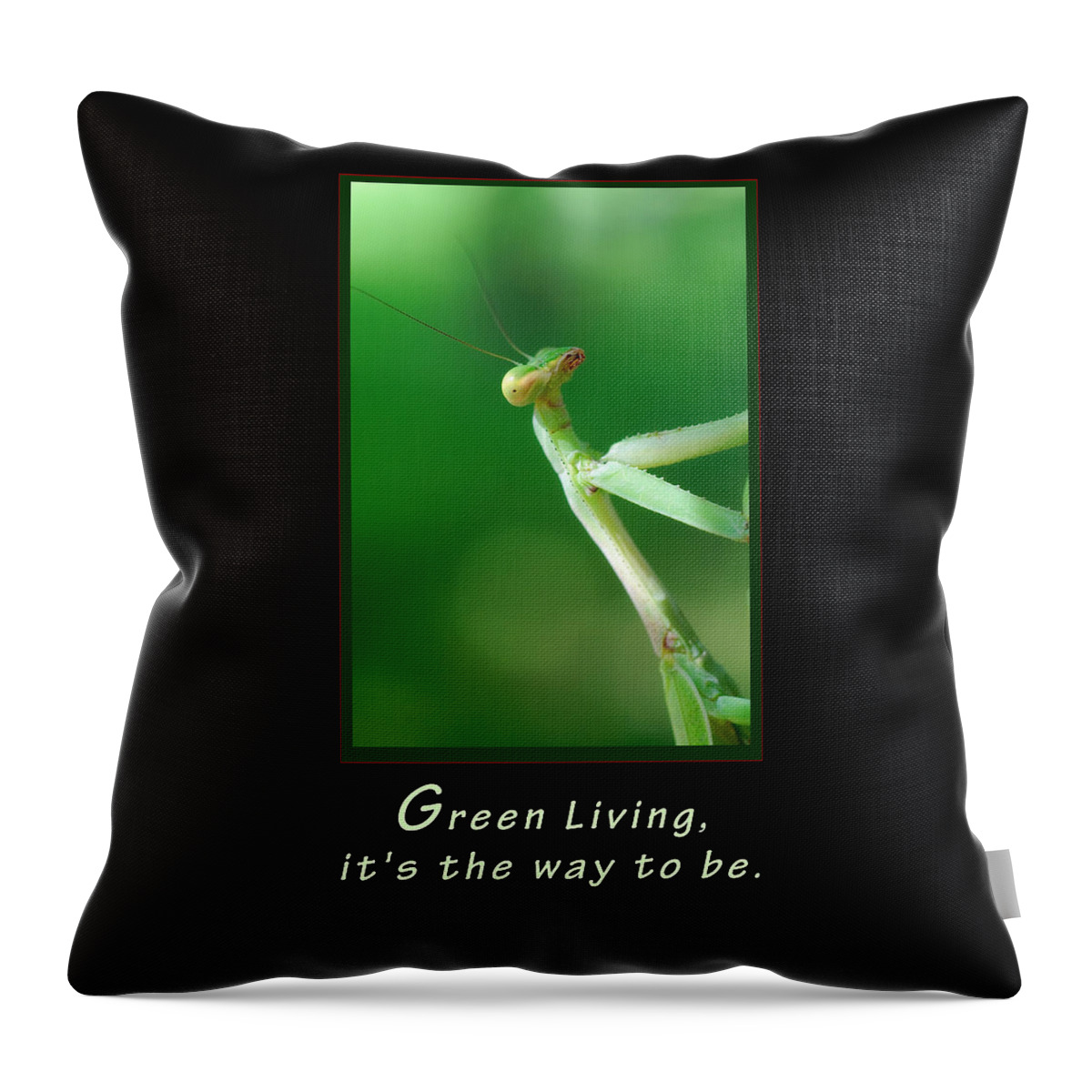 Texas Throw Pillow featuring the photograph Green Living by Erich Grant