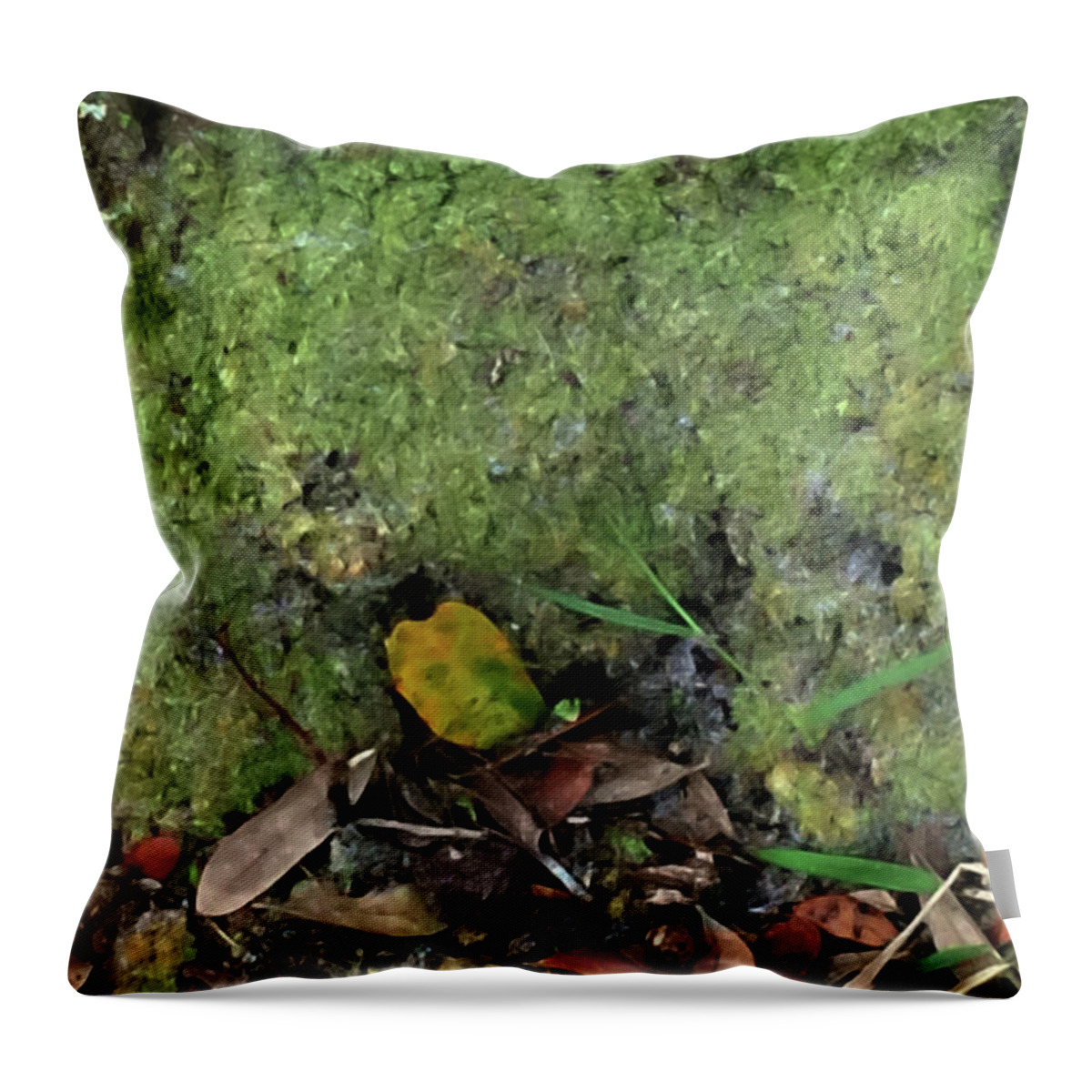 Ground Cover Throw Pillow featuring the photograph Green Man Spirit Photo by Gina O'Brien