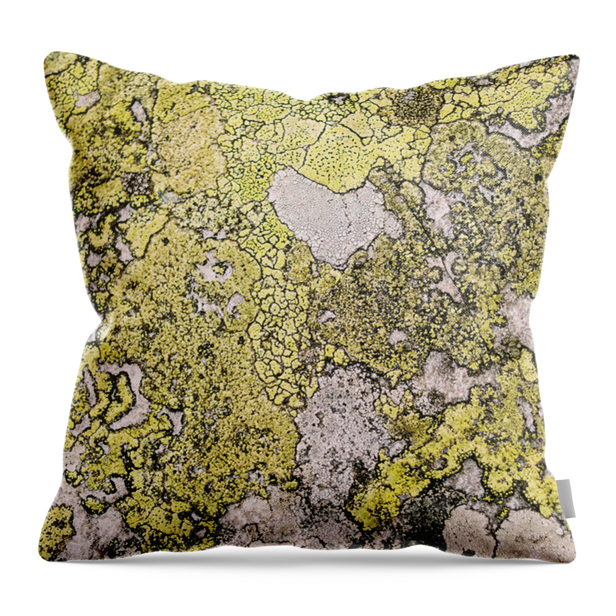 Natural Pattern Throw Pillow featuring the photograph Green Moss On Rock Pattern by Pati Photography