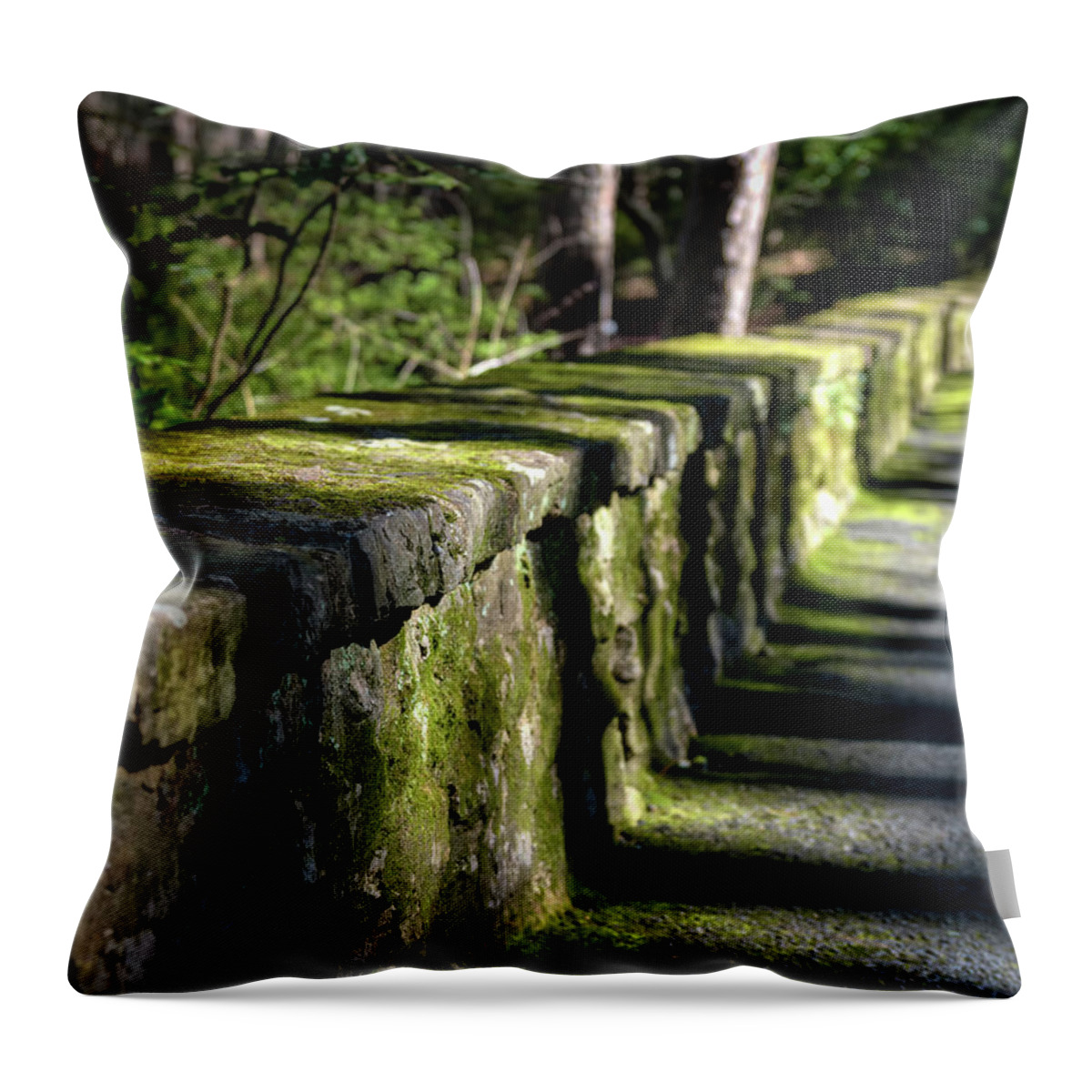 Stone Wall Throw Pillow featuring the photograph Green Stone Wall by James Barber