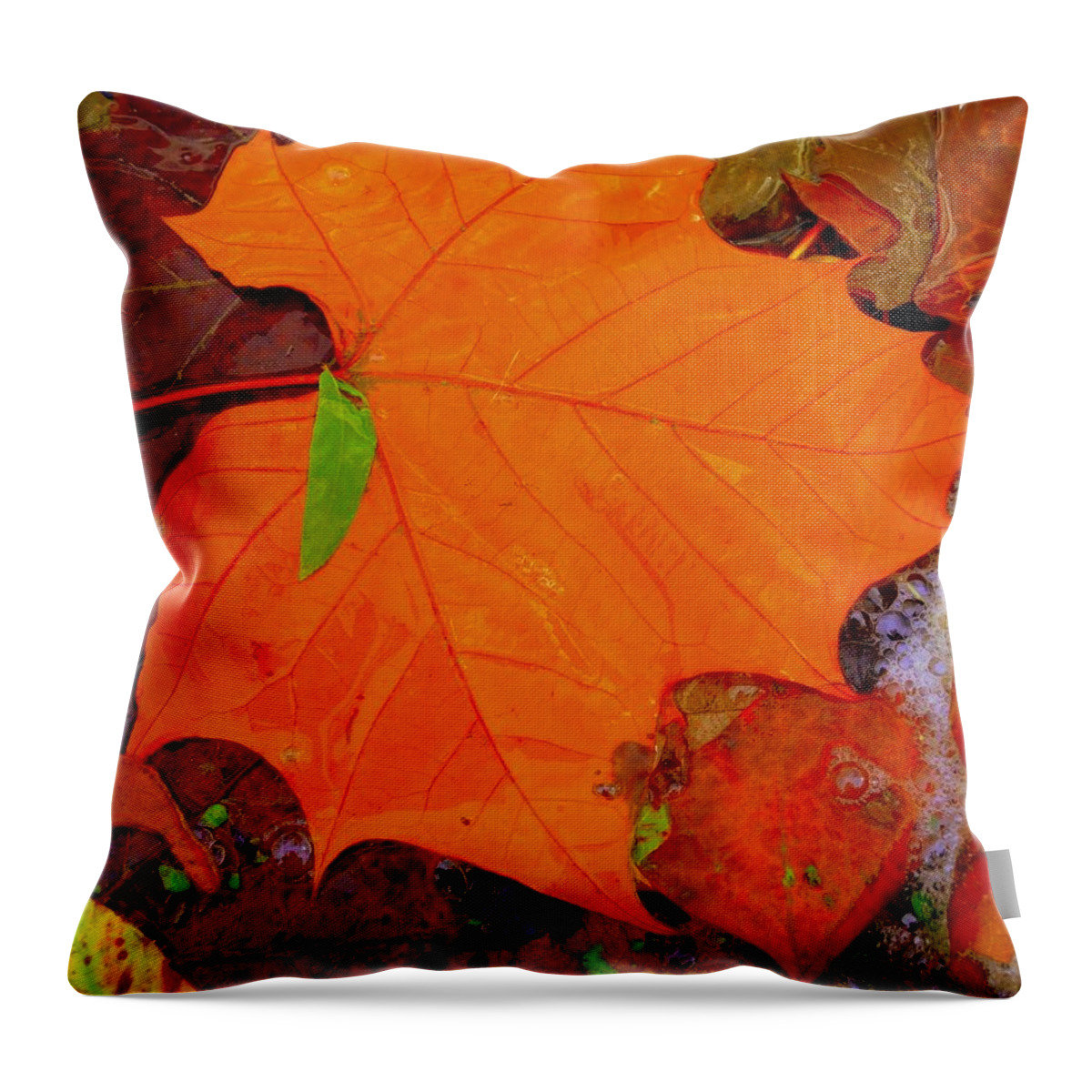 Green Thumb Throw Pillow featuring the photograph Green Thumb by Edward Smith