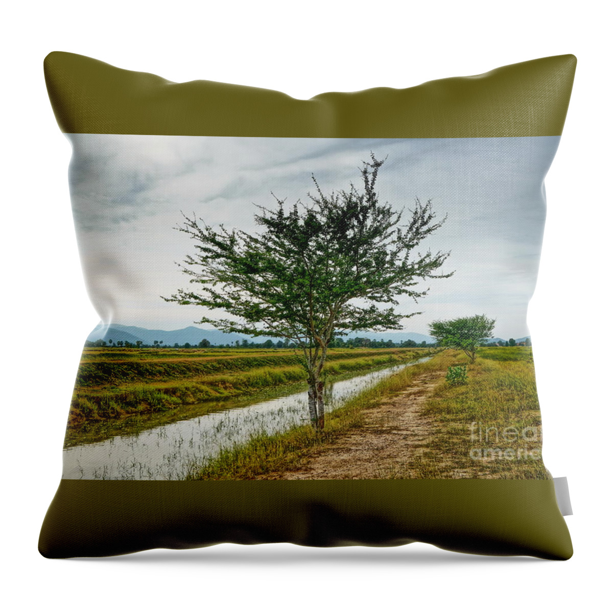 Water Throw Pillow featuring the photograph Green Tree by Arik S Mintorogo