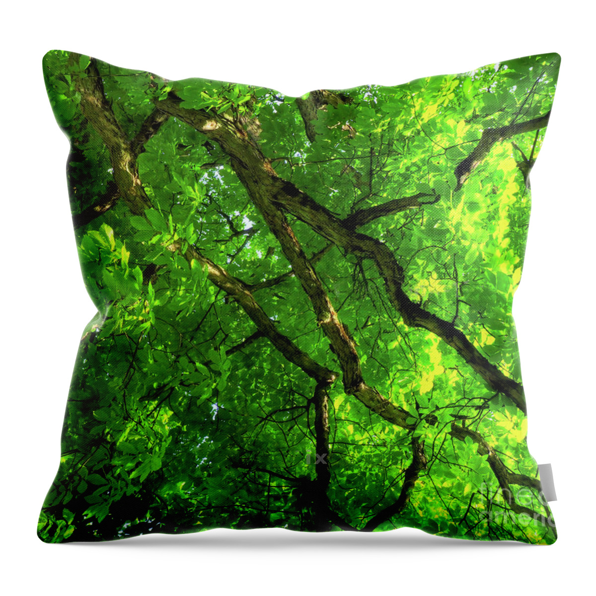 Tree Throw Pillow featuring the photograph Green Tree HDR by Raymond Earley