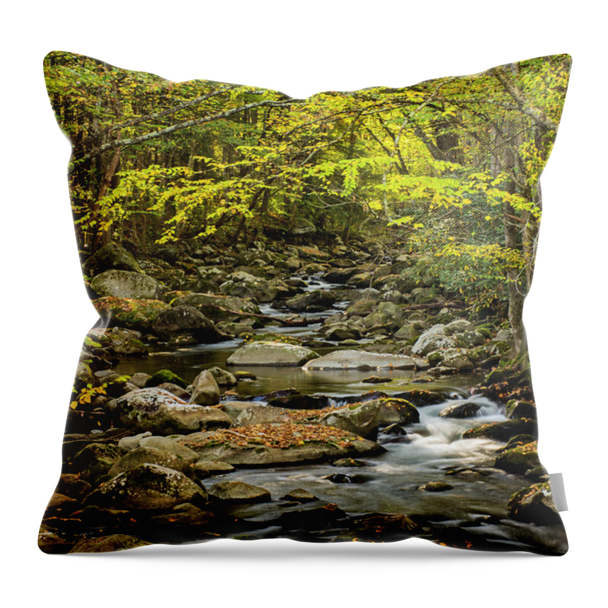 Greenbrier In Great Smoky National Park Throw Pillow featuring the photograph Greenbrier by Peg Runyan