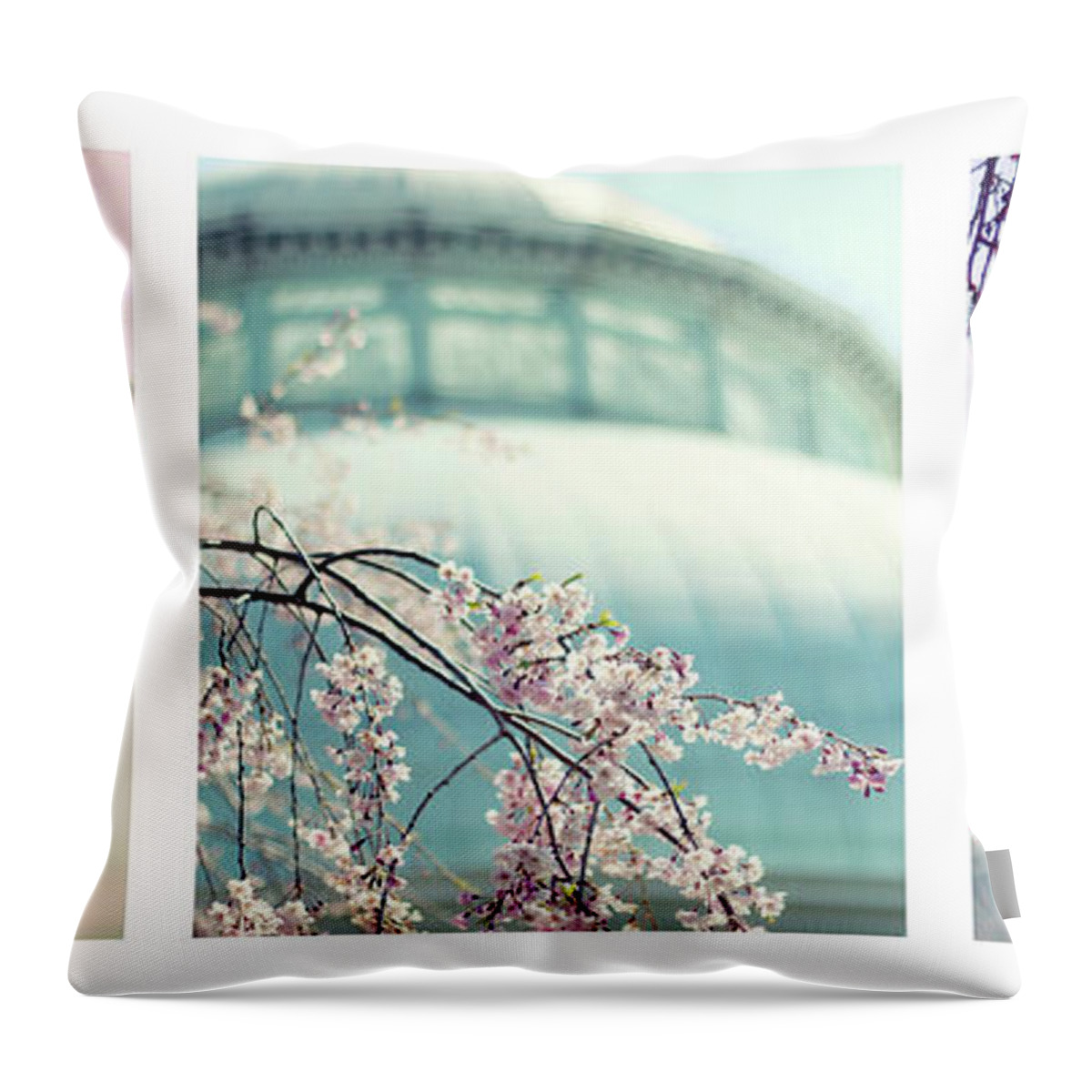 Triptych Throw Pillow featuring the photograph Greenhouse Blossoms Triptych by Jessica Jenney