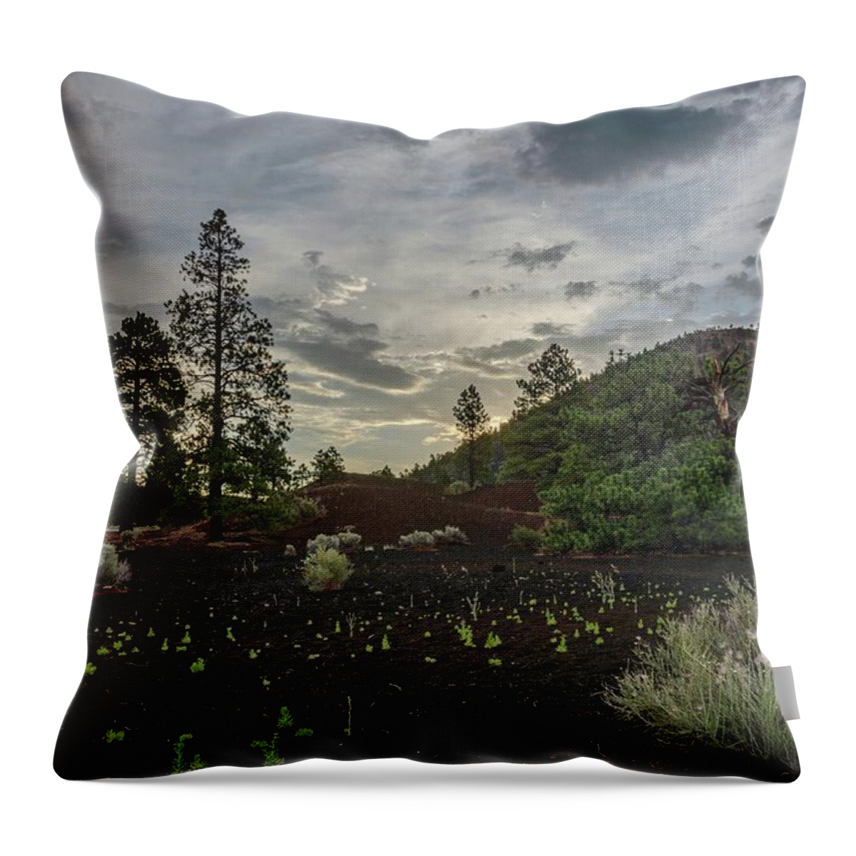 Arizona Throw Pillow featuring the photograph Greet the day by Gaelyn Olmsted