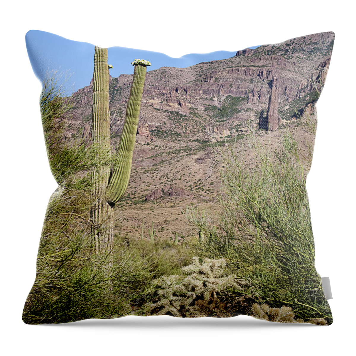 Landscape Throw Pillow featuring the photograph Greeting The Night by Phyllis Denton