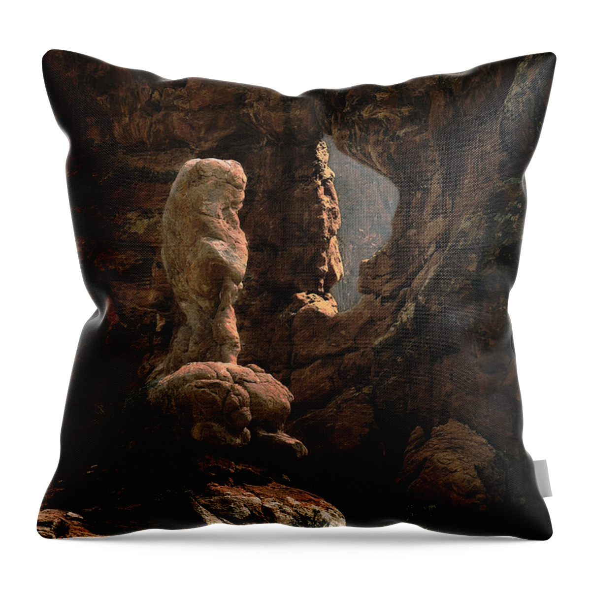 Desert Throw Pillow featuring the photograph Gremlin at the Window by John Christopher