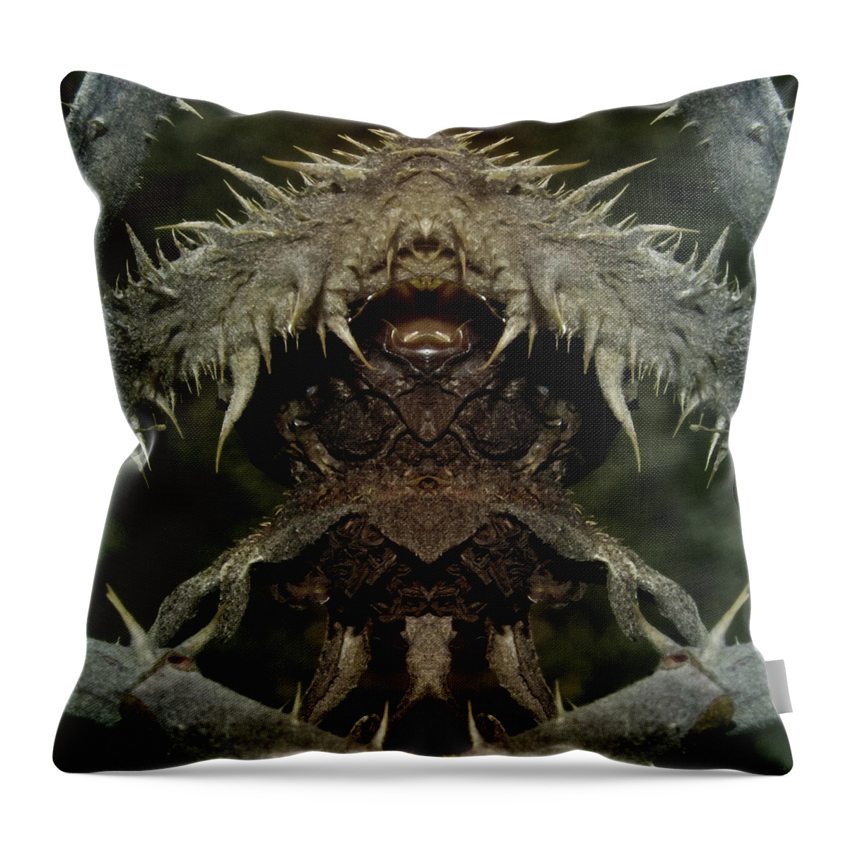 Gremlim Throw Pillow featuring the photograph Gremlin by WB Johnston