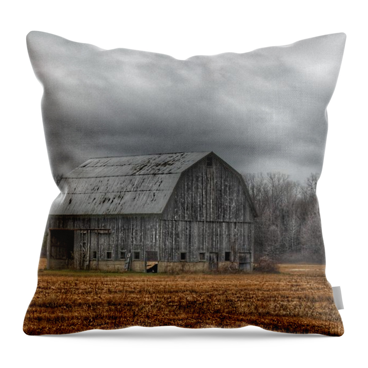 Barn Throw Pillow featuring the photograph 0024 - Grey Barn and Tree by Sheryl L Sutter