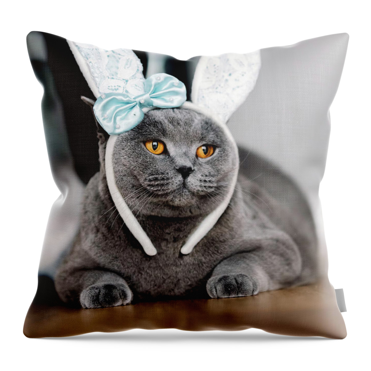 Cat Throw Pillow featuring the photograph Grey cat with cute bunny-like headband by Michal Bednarek