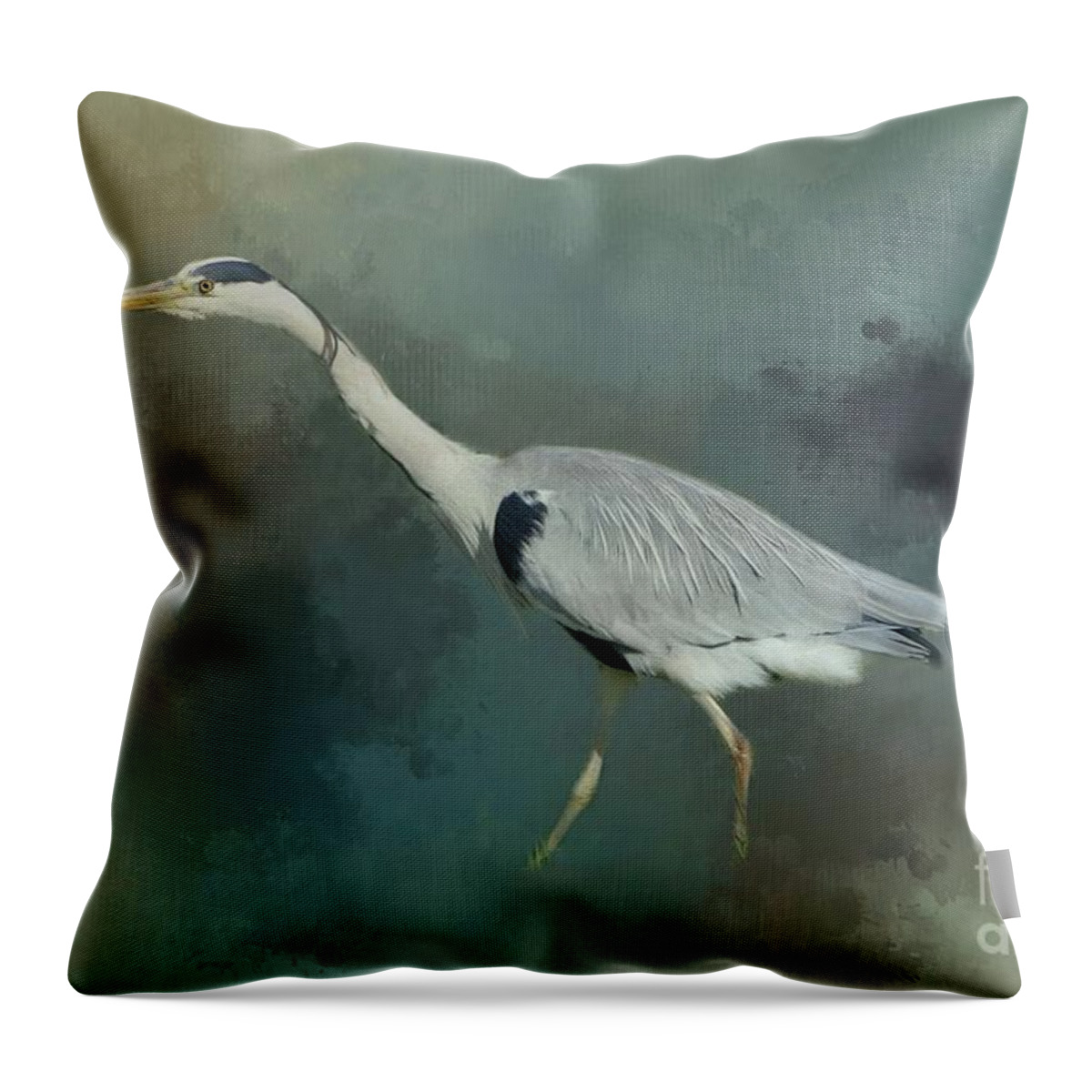 Grey Heron Throw Pillow featuring the photograph Grey Heron by Eva Lechner