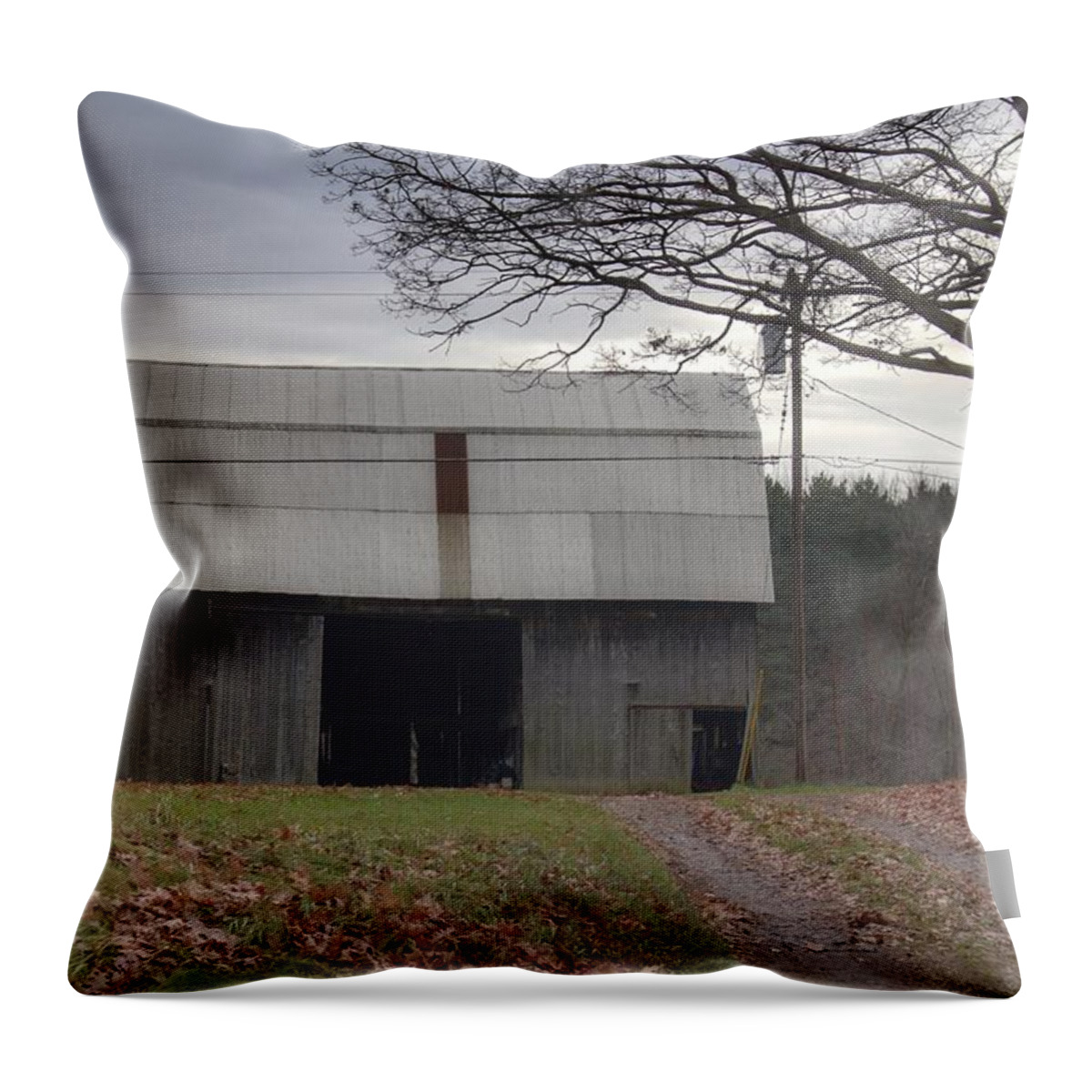 Barn Throw Pillow featuring the photograph 0014 - Grey Horse Barn by Sheryl L Sutter
