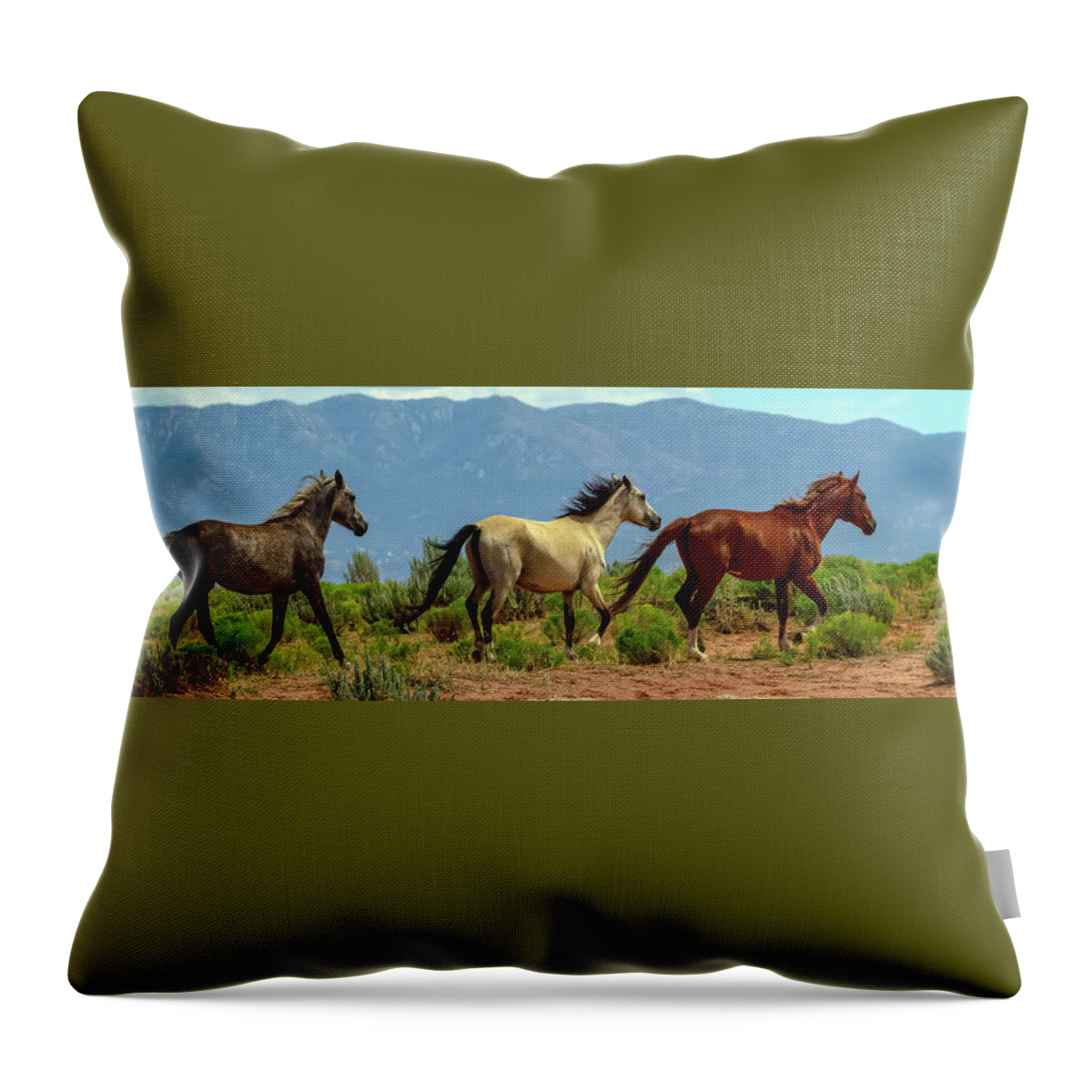 Horses Throw Pillow featuring the photograph Grey, White and Chestnut Horse Panorama View by James BO Insogna