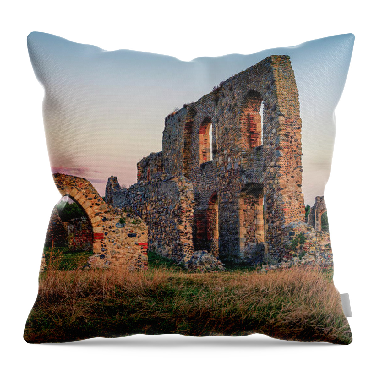 Abandoned Throw Pillow featuring the photograph Greyfriars by James Billings