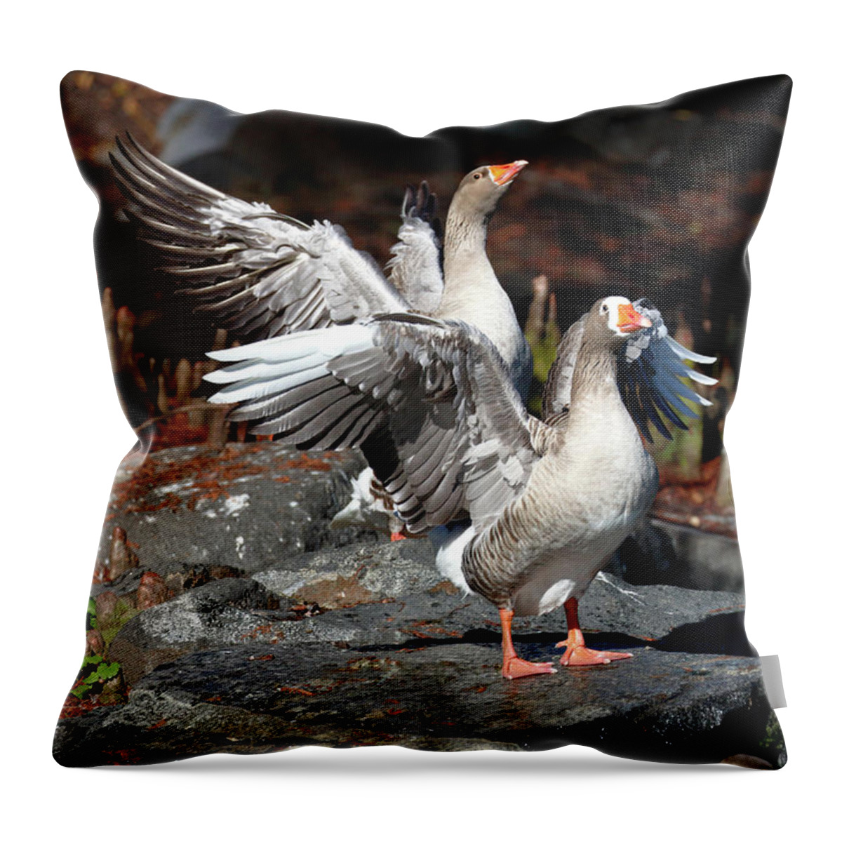 Greylag Goose Throw Pillow featuring the photograph Greylag Geese by Nicholas Blackwell