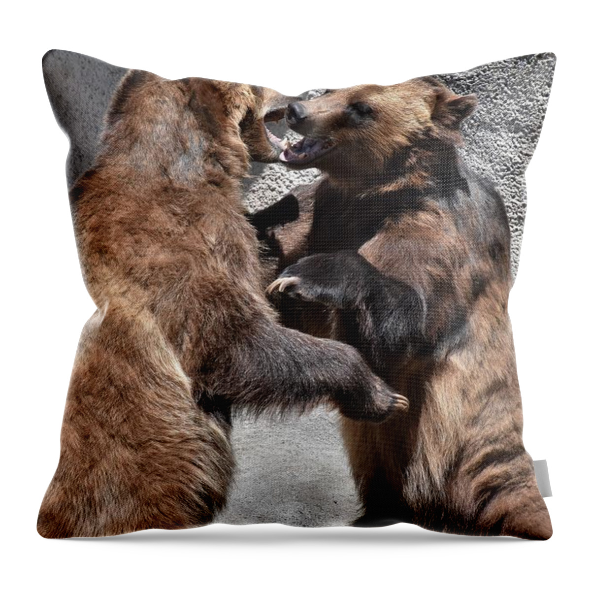 Grizzly Bear Throw Pillow featuring the photograph Grizzlies' Playtime 3 by Flo McKinley