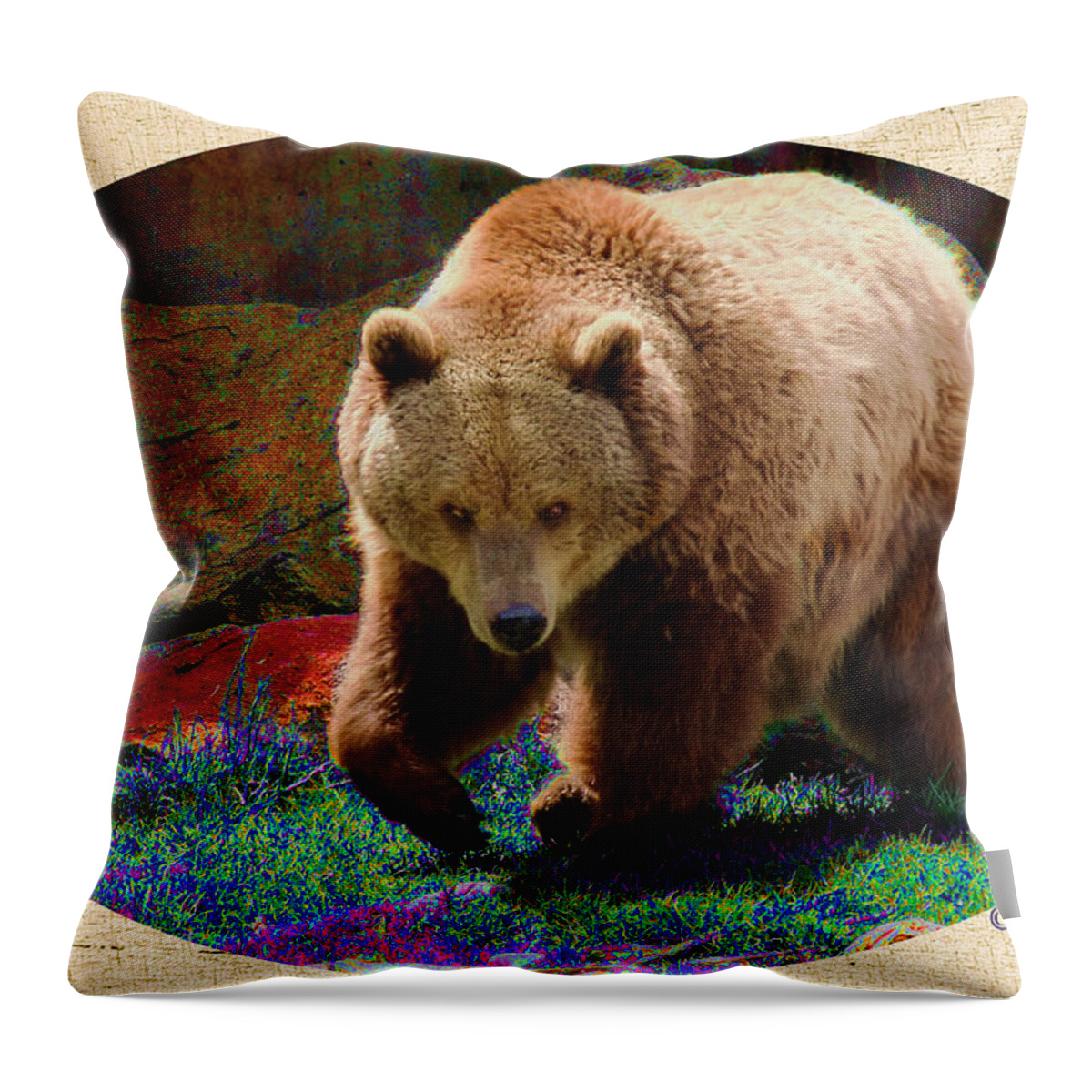 Grizzly Bear Throw Pillow featuring the photograph Grizzly Bear with Enhanced Background by Kae Cheatham