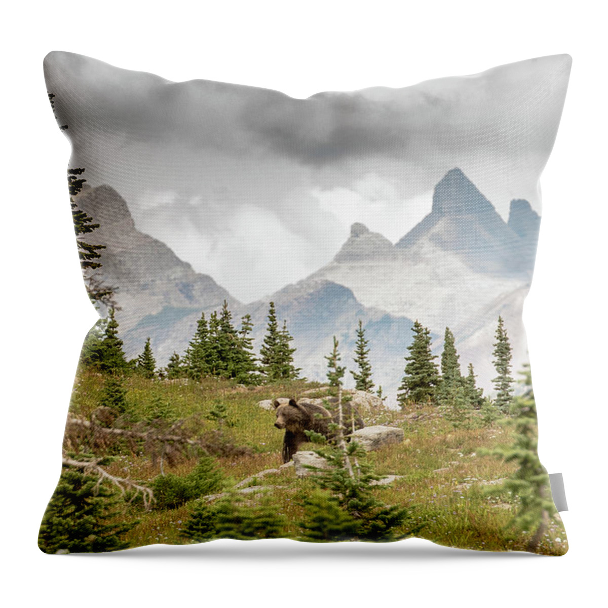Grizzly Bear Throw Pillow featuring the photograph Grizzly in Glacier by Greg Wyatt