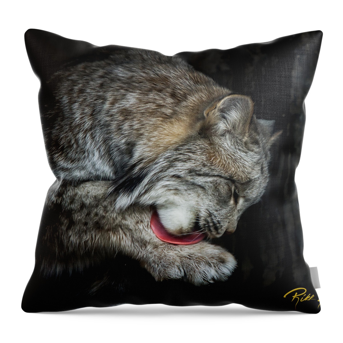 Animals Throw Pillow featuring the photograph Grooming Lynx by Rikk Flohr