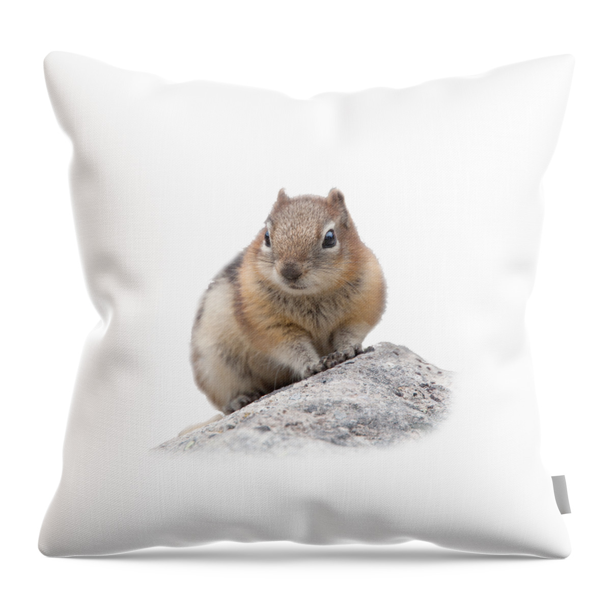 Ground Squirrel Throw Pillow featuring the photograph Ground Squirrel T-shirt by Tony Mills