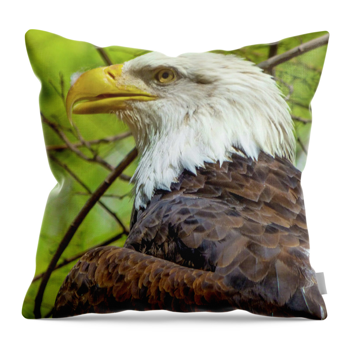Orcinusfotograffy Throw Pillow featuring the photograph Grounded by Kimo Fernandez