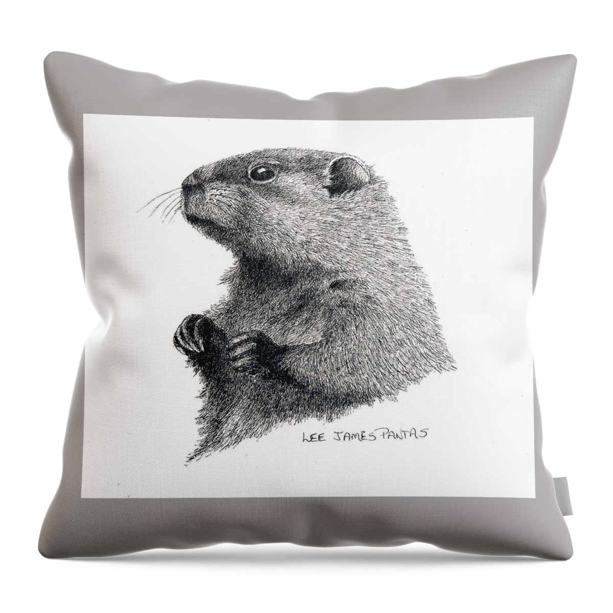 Woodchuck Throw Pillow featuring the drawing Groundhog or Woodchuck by Lee Pantas
