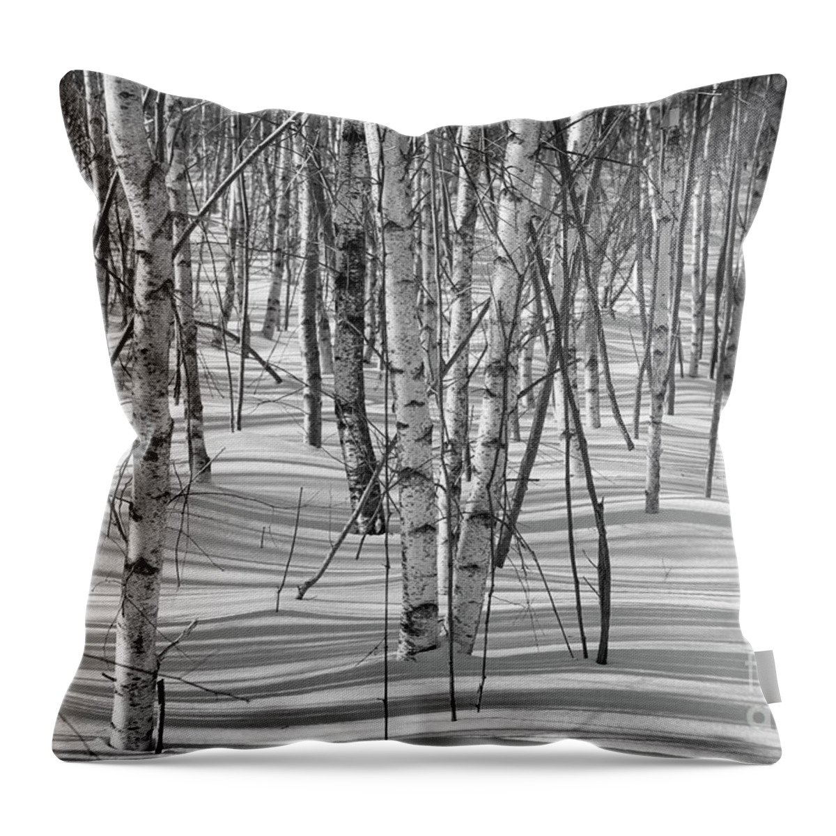Shadows Throw Pillow featuring the photograph Group of White Birches by Alana Ranney