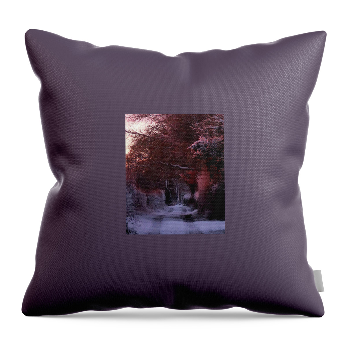 Zoe Oakley Throw Pillow featuring the photograph Guardian of the pathway by Zoe Oakley