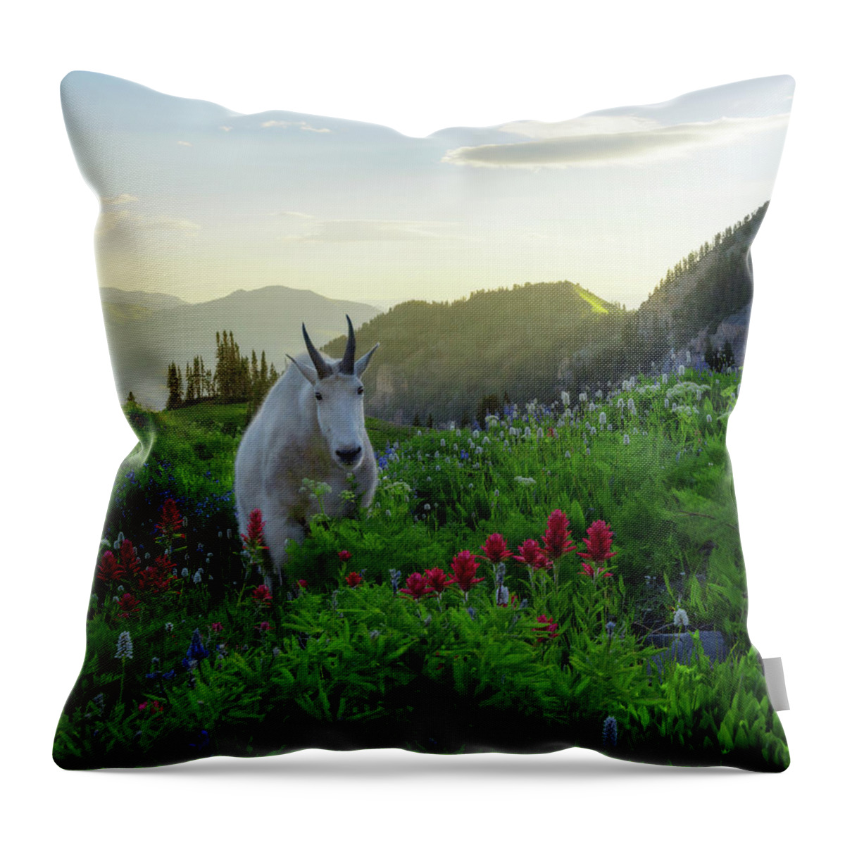  Throw Pillow featuring the photograph Guardian of Timpanogos by Dustin LeFevre