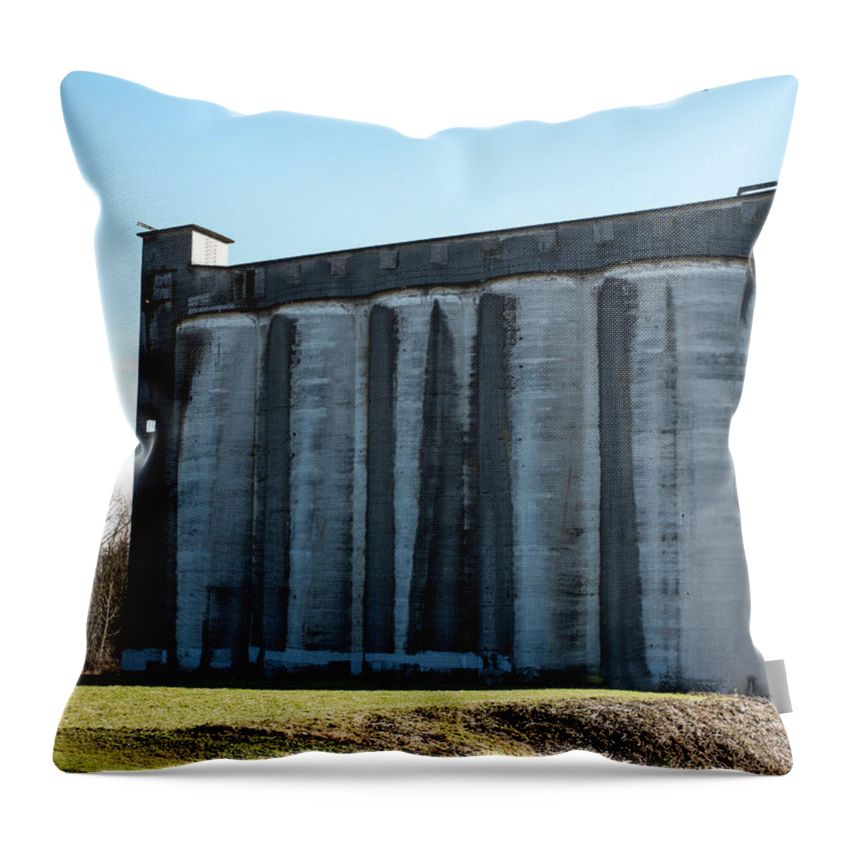 Guardian Silos Throw Pillow featuring the photograph Guardian Silos by Tom Cochran