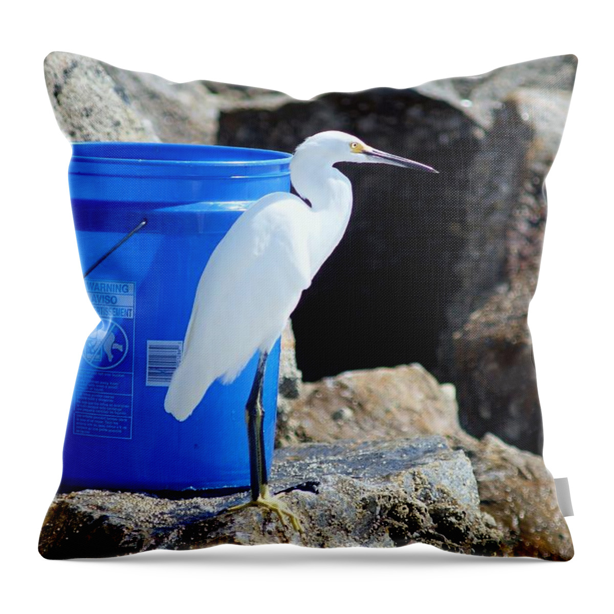 Egret Throw Pillow featuring the photograph Guarding the Bait Buckle by Angela Tribble