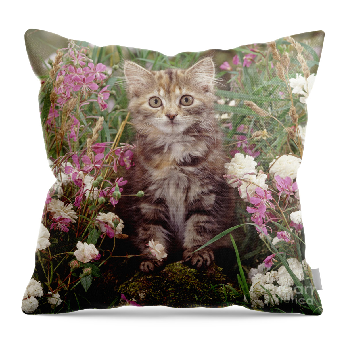 Fluffy Throw Pillow featuring the photograph Guarding the Garden by Warren Photographic